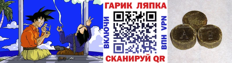 ГАШ Ice-O-Lator  Луга 
