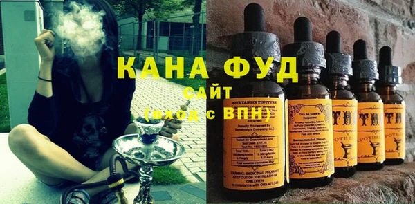 гидра Вяземский