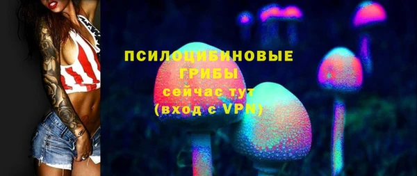 гидра Вяземский