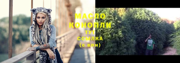 гидра Вяземский