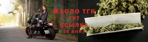 дживик Володарск