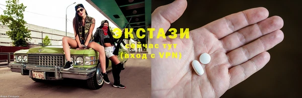 гидра Вяземский