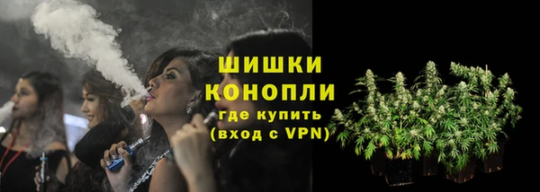 дживик Володарск