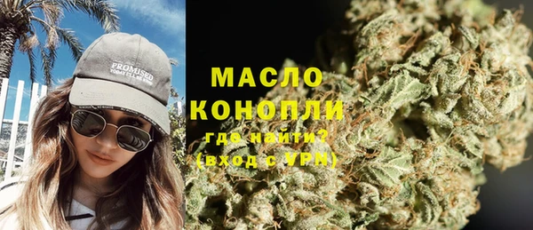 гидра Вяземский