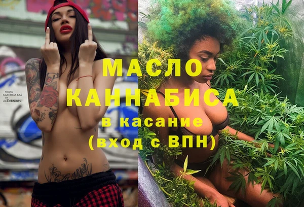гидра Вяземский