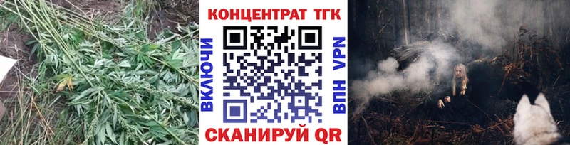 где найти   Луга  Дистиллят ТГК концентрат 