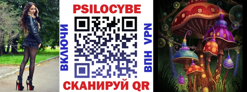магазин продажи   Луга  Галлюциногенные грибы Psilocybe 